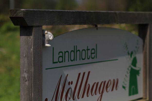 Landhotel Moellhagen Schulp bei Nortorf Exterior foto